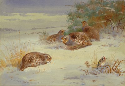 Kış manzarasında keklik ve saka kuşu (suluboya) by Archibald Thorburn