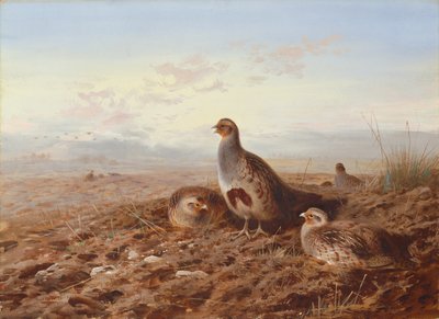 Anız Arasında Keklikler by Archibald Thorburn