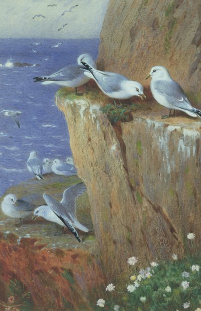 martılar by Archibald Thorburn