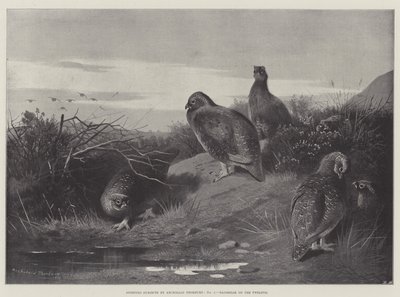 Spor Konuları, On İkinci Şafak by Archibald Thorburn
