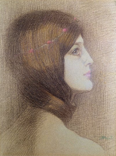 Bir Kadının Portresi by Armand Point