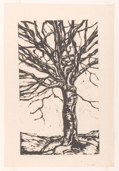 lahana patlaması by Arnold Pijpers (signed by artist)