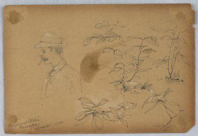Ön Plan Çalışmaları, Ramapo by Arnold William Brunner