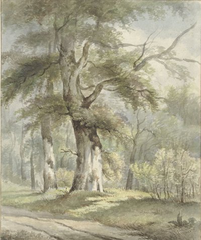 Orman manzarası by Arnoldus Johannes Eymer