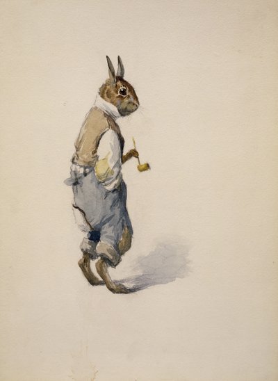 Br "er Tavşan, 1881-1928 by Arthur Burdett Frost