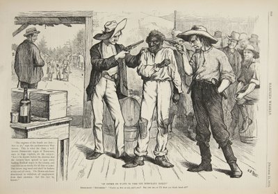 Elbette Demokratik Bilete Oy Vermek İstiyor, 1876 by Arthur Burdett Frost