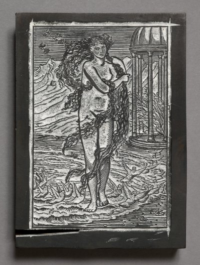 Aşk Tanrısı ve Psyche'nin Hikayesi - Venüs, Edward Coley Burne-Jones'tan sonra (oyulmuş ahşap blok) by Arthur Burgess