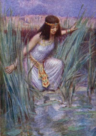 Lotus Çiçekleri (renkli taş) by Arthur C. (after) Michael