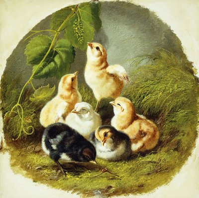 civcivler, 1863 by Arthur Fitzwilliam Tait