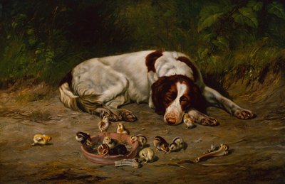 iyi köpek by Arthur Fitzwilliam Tait