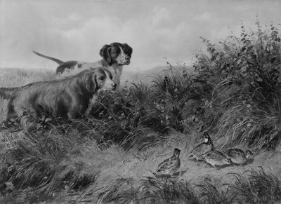 Noktada, 1874. by Arthur Fitzwilliam Tait