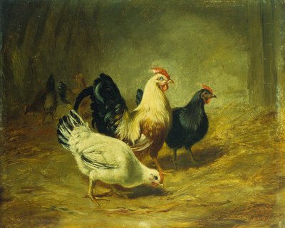 Kümes Hayvanları Besleme by Arthur Fitzwilliam Tait