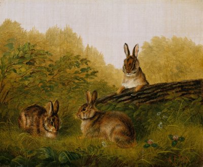 Kütükteki Tavşanlar, 1897. by Arthur Fitzwilliam Tait