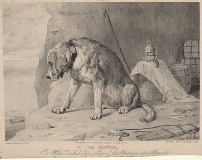 Nöbetçi by Arthur Fitzwilliam Tait