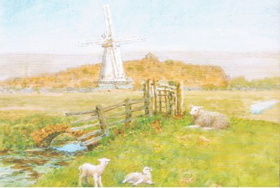 Yel değirmeni, Çavdar, Sussex, Kartpostal, 1970