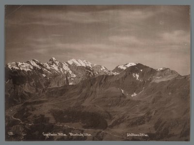 Bernese Alpleri