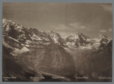 Bernese Alpleri