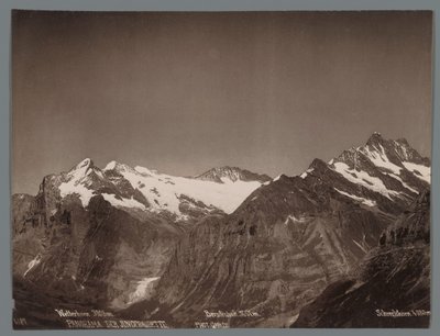 Bernese Alpleri