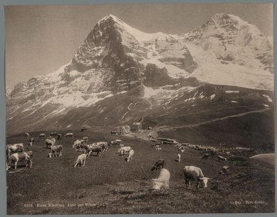 Bernese Oberland