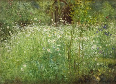 Oxeye Papatyalar ve Süsenler, 1920 by Arthur Hacker