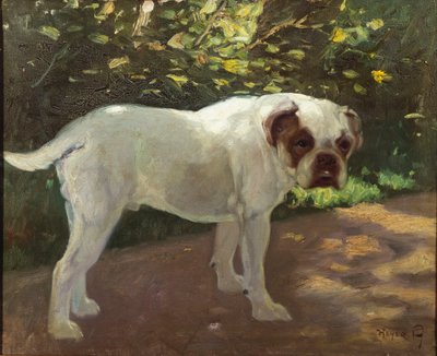 Bahçe Yolunda Bir Bulldog (tuval üzerine yağlı boya) by Arthur Heyer