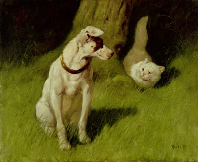 Beyaz İran Kedisi ve Jack Russell by Arthur Heyer