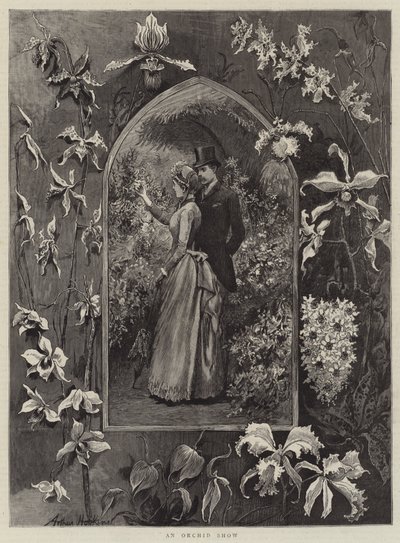 Bir Orkide Gösterisi by Arthur Hopkins