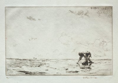 Kırışık Seçici by Arthur John Trevor Briscoe