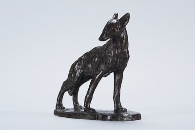 Uyarı Coyote (bronz) by Arthur Putnam
