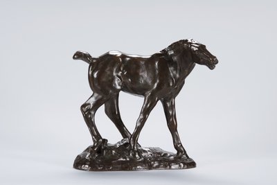 Colt (bronz) by Arthur Putnam