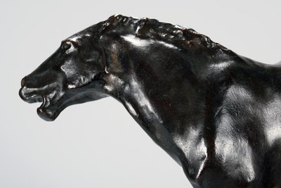 Colt (bronz) by Arthur Putnam