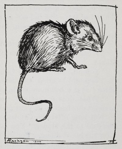 Bir fare by Arthur Rackham