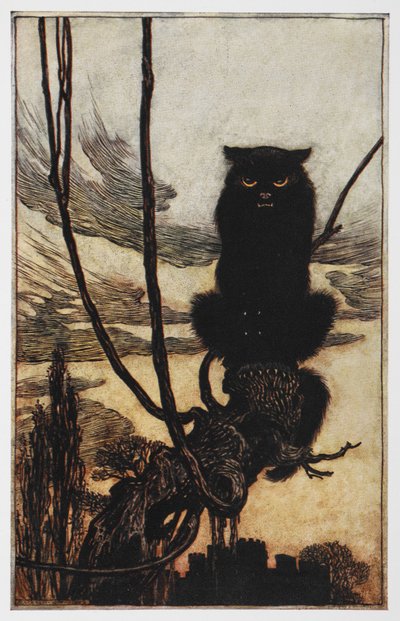 Jorinda ve Joringel'den siyah bir kedi çizimi. by Arthur Rackham