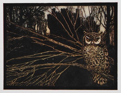 Jorinda ve Joringel'den bir ciyaklayan baykuş çizimi. by Arthur Rackham
