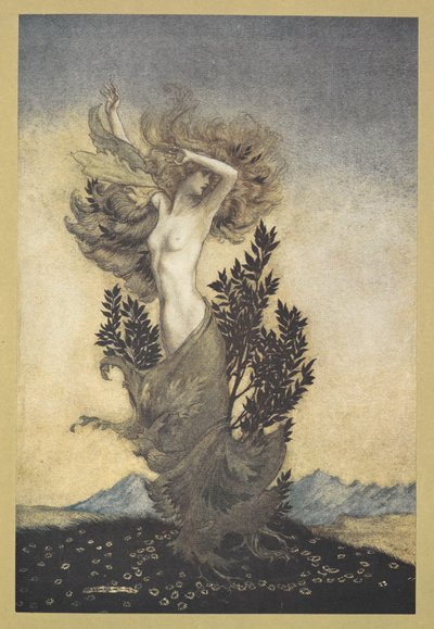 ... Daphne'nin Apollon'dan kaçan kökleri bağlı olduğu gibi'. by Arthur Rackham