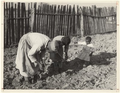  by Arthur Rothstein