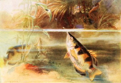  by Arthur Twidle