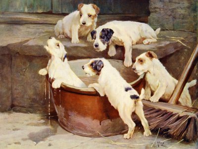 Banyo Düzeni - yavru yıkama by Arthur Twidle