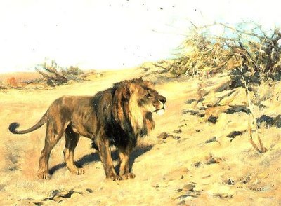 Scrub Arasında Bir Aslan by Arthur Wardle