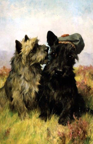Çimlere Çıkmak by Arthur Wardle