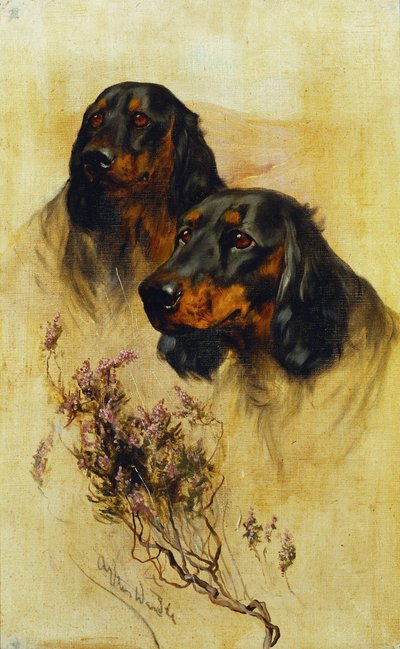 İki Gordon Setter (tuval üzerine yağlı boya) by Arthur Wardle