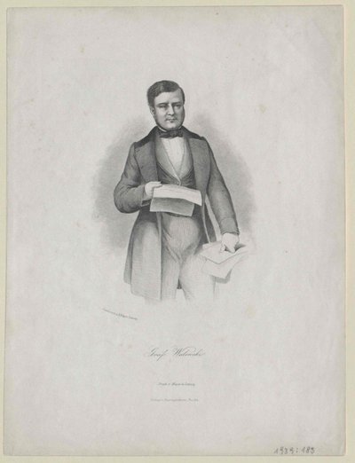 Alexandre Comte Walewski by Artist Unknown