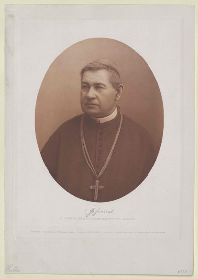 Johannes Haller (baskı) by Artist Unknown
