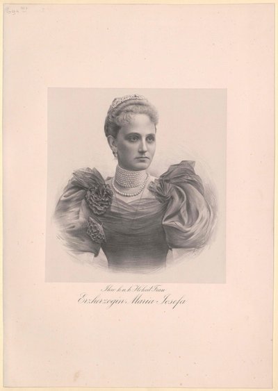 Saksonya Prensesi Maria Josefa by Artist Unknown