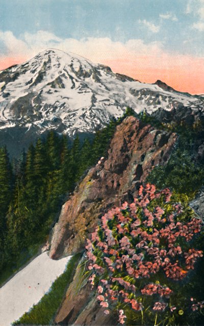 Rainier Dağı