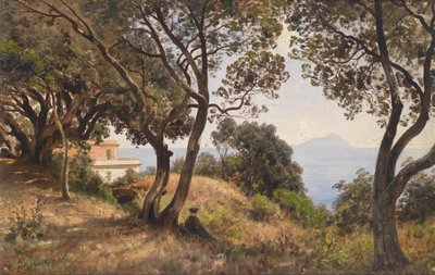 Ascan Lutteroth güneyden görünüm 1889 by Ascan Lutteroth