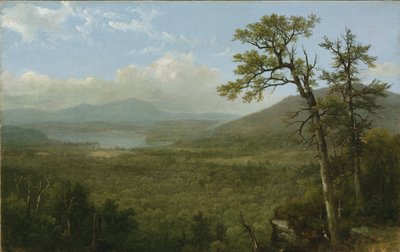 Adirondack Dağları, N.Y., 1870 by Asher Brown Durand
