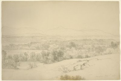 Manzara, Barrytown, New York, 1865 (kahverengi kağıt üzerinde kütükler olan grafit) by Asher Brown Durand