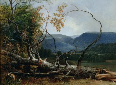 Stratton Çentik, Vermont by Asher Brown Durand