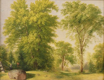 ನೇಚರ್, ಹೊಬೊಕೆನ್, ನ್ಯೂಜೆರ್ಸಿ, ಸಿ.1834 ಟರ್ಕ್‌ನಿಂದ ಅಧ್ಯಯನ by Asher Brown Durand